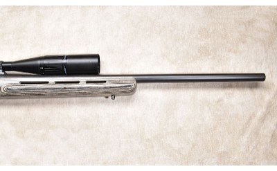 REMINGTON ~ XR-100 ~ .223 REMINGTON - Image 4 of 11