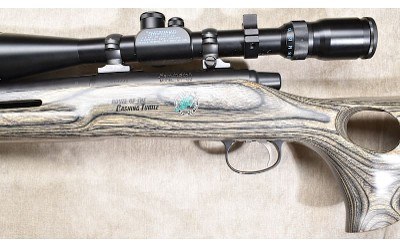 REMINGTON ~ XR-100 ~ .223 REMINGTON - Image 9 of 11