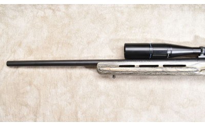 REMINGTON ~ XR-100 ~ .223 REMINGTON - Image 8 of 11