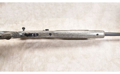 REMINGTON ~ XR-100 ~ .223 REMINGTON - Image 6 of 11