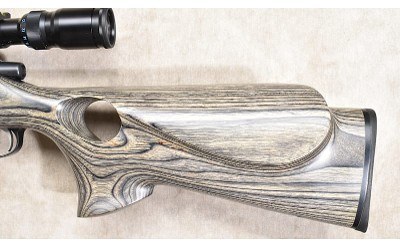 REMINGTON ~ XR-100 ~ .223 REMINGTON - Image 10 of 11