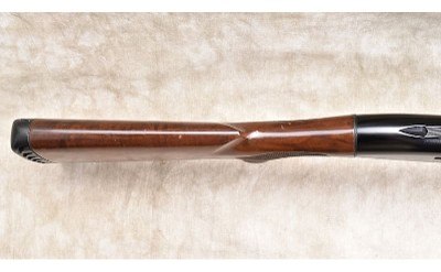 Benelli ~ Montefeltro ~ 12 Gauge - Image 9 of 14