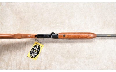 REMINGTON 552 .22 S, L, LR - Image 6 of 11