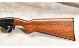 Remington ~ 572 ~ .22 S,L,LR - 7 of 15