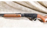 Remington ~ 572 ~ .22 S,L,LR - 6 of 15