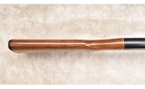 Remington ~ 572 ~ .22 S,L,LR - 12 of 15