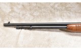 Remington ~ 572 ~ .22 S,L,LR - 5 of 15