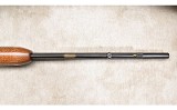 Remington ~ 572 ~ .22 S,L,LR - 11 of 15
