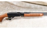 Remington ~ 572 ~ .22 S,L,LR - 3 of 15