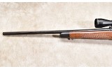 REMINGTON ~ 700 ~ .30-06 SPRINGFIELD - 8 of 11