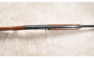 REMINGTON ~ 1100 ~ 12 GAUGE, 2-3/4 in - Image 5 of 11