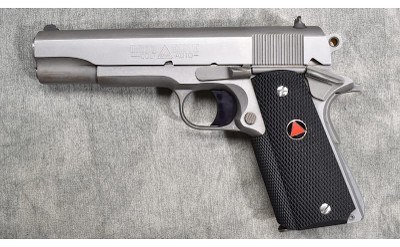 COLT ~ DELTA ELITE ~ 10MM AUTO - Image 2 of 6