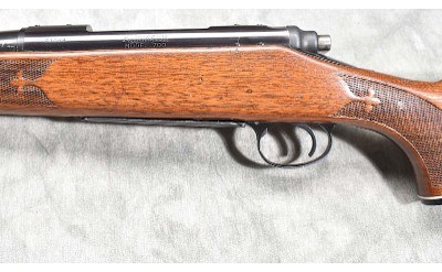 REMINGTON ~ 700 ~ .30-06 SPRINGFIELD - Image 9 of 11