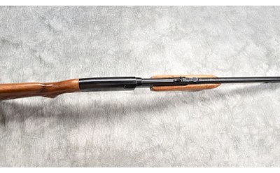 REMINGTON ~ 572 ~ .22 S, L, LR - Image 5 of 11