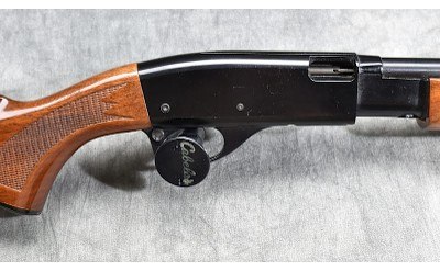 REMINGTON ~ 572 ~ .22 S, L, LR - Image 3 of 11