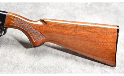 REMINGTON ~ 572 ~ .22 S, L, LR - Image 10 of 11