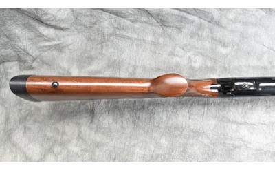 Browning ~ BPS ~ 10 Gauge - Image 10 of 12