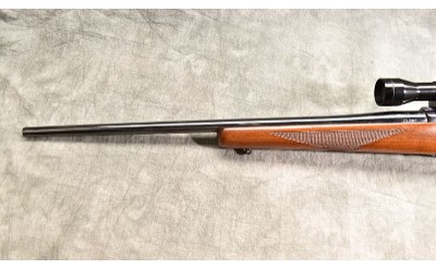 RUGER ~ M77 ~ .250 SAVAGE - Image 8 of 11