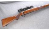 Ruger M77 manlicher stock
.22-250 - 1 of 7