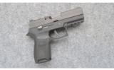 Sig Sauer P250 Pistol - 1 of 2