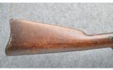 Springfield Armory 1873 Trap Door Rifle - 3 of 9