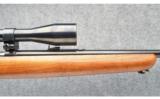 Winchester 43 .22 Hornet Rifle - 9 of 9