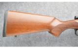 Ceska Zbrojovka 550 American .243 Win Rifle - 3 of 9
