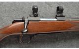 Browning ~ A-Bolt ~ .260 REM - 3 of 9