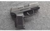 Sig Sauer ~ P365 ~ 9 MM - 1 of 2