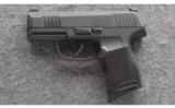 Sig Sauer ~ P365 ~ 9 MM - 2 of 2