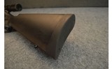 Savage ~ 111 Hunter ~ .300 Winchester Magnum - 6 of 7