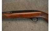 Winchester ~ 100 ~ .243 Winchester - 9 of 10