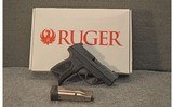 Ruger ~ MAX-9 ~