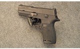 SIG Sauer ~ P250 ~ 9mm - 4 of 4