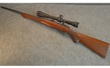 STURM RUGER ~ M77 HAWKEYE ~ .243 WINCHESTER - 2 of 6