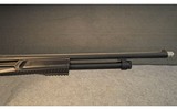 ESCORT ~ HA-TR-021 ~ 12 GAUGE - 4 of 6