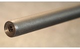 SAVAGE ~ MODEL 93 ~ .22 WMR - 5 of 9
