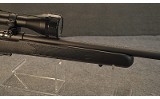 SAVAGE ~ MODEL 93 ~ .22 WMR - 3 of 9