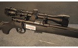 SAVAGE ~ MODEL 93 ~ .22 WMR - 2 of 9