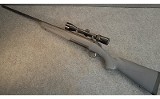 BROWNING ~ X-BOLT ~ .300 WINCHESTER MAGNUM