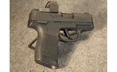 SIG SAUER ~ P365 ~ 9MM LUGER