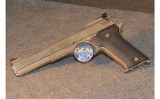 AMT~Automag II~.22 Mag - 2 of 2
