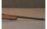 Savage~93~.22 WMR - 4 of 7