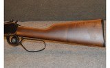 Henry~Large Loop~.22 Magnum - 7 of 7