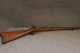 Springfield 1884 .45 70 Government