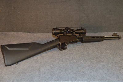 Rossi~Gallery~.22 Long Rifle