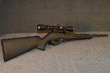 Remington~597~.22 Long Rifle