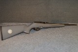 Remington~597~.22 Long Rifle