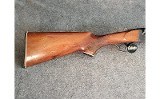 Zabala ~ SXS ~ 20 Gauge - 2 of 8