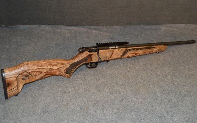 Savage ~ 93R17 ~ .17HMR